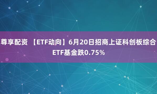 尊享配资 【ETF动向】6月20日招商上证科创板综合ETF基金跌0.75%
