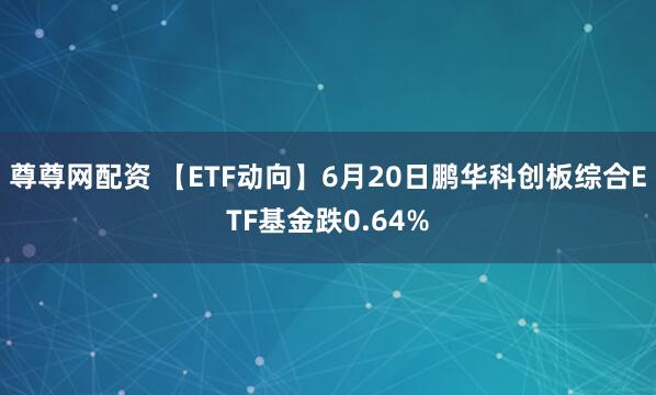尊尊网配资 【ETF动向】6月20日鹏华科创板综合ETF基金跌0.64%
