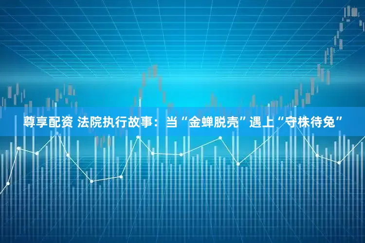 尊享配资 法院执行故事：当“金蝉脱壳”遇上“守株待兔”