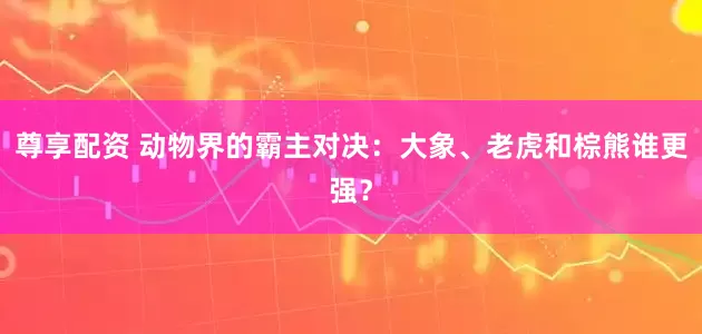 尊享配资 动物界的霸主对决：大象、老虎和棕熊谁更强？