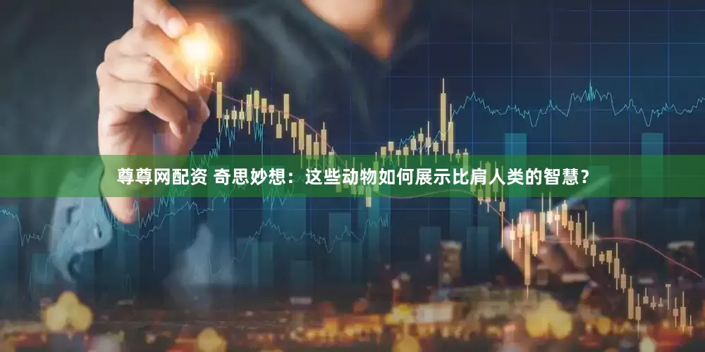 尊尊网配资 奇思妙想：这些动物如何展示比肩人类的智慧？